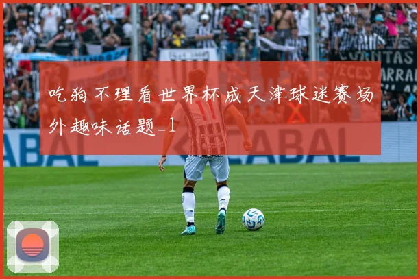 吃狗不理看世界杯成天津球迷赛场外趣味话题_1