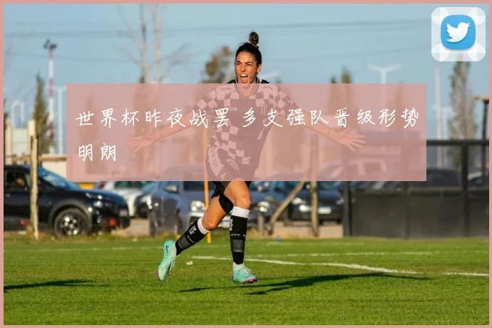 世界杯昨夜战罢 多支强队晋级形势明朗