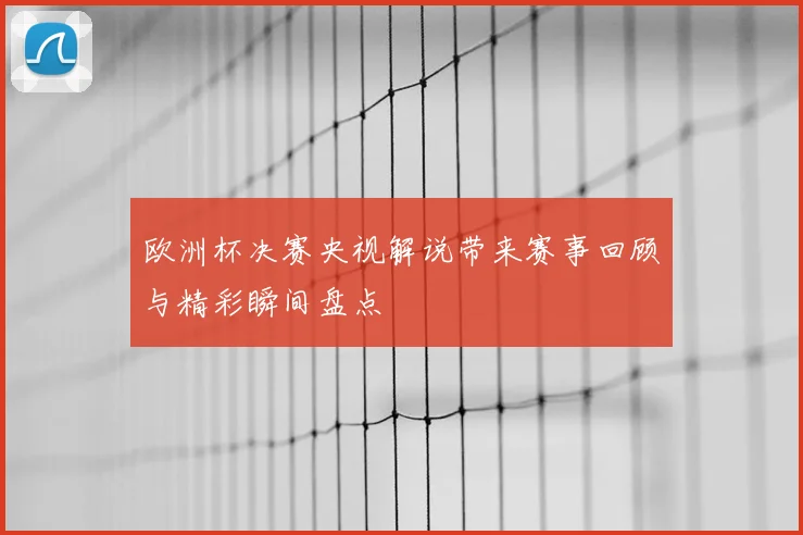 欧洲杯决赛央视解说带来赛事回顾与精彩瞬间盘点