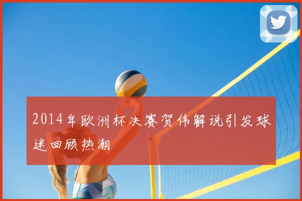 2014年欧洲杯决赛贺伟解说引发球迷回顾热潮
