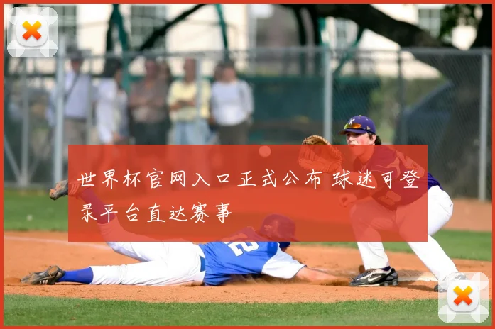 世界杯官网入口正式公布 球迷可登录平台直达赛事
