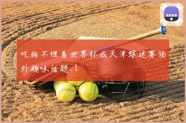 吃狗不理看世界杯成天津球迷赛场外趣味话题_1