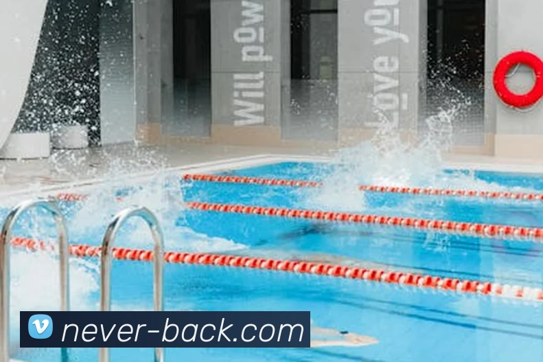 App Interface Preview