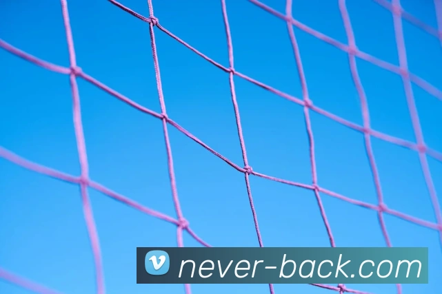 世界杯官网线上平台APP 封面图